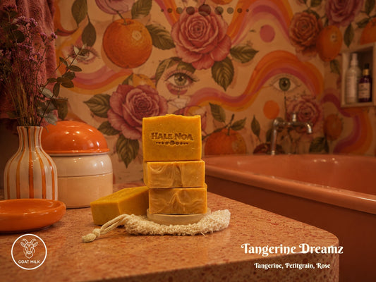 Tangerine Dreamz