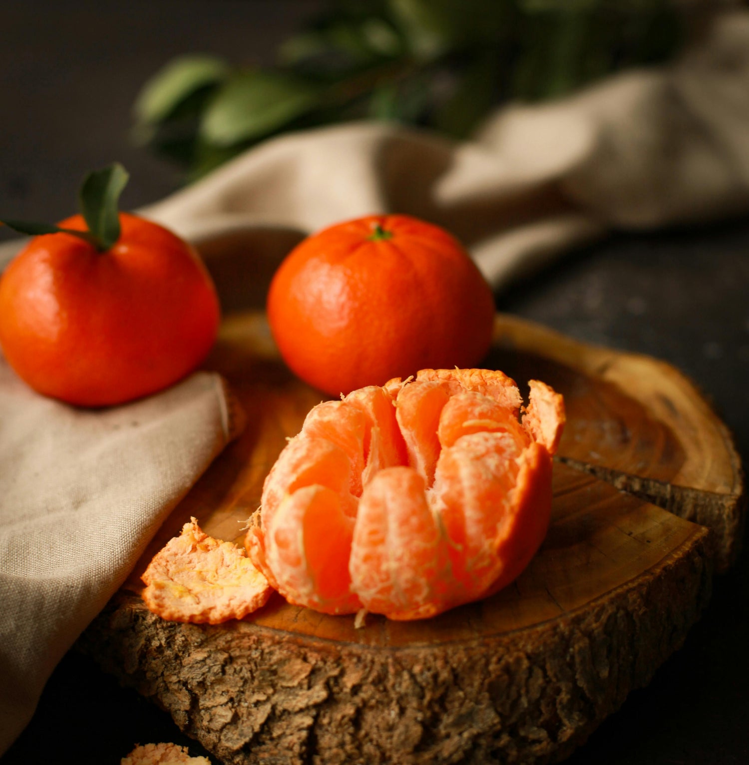 Citrus
