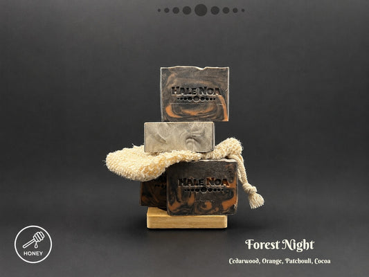 Forest Night