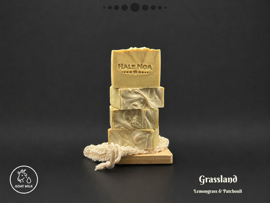 Grassland