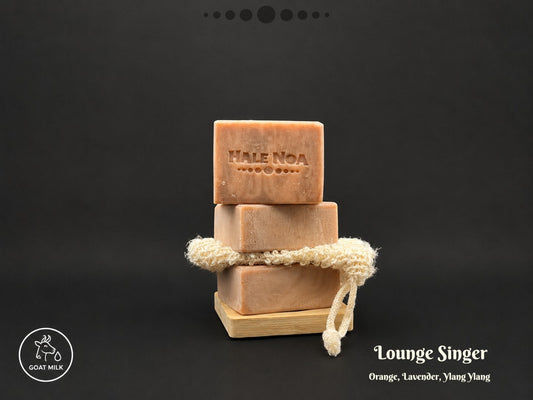 Lounge Singer